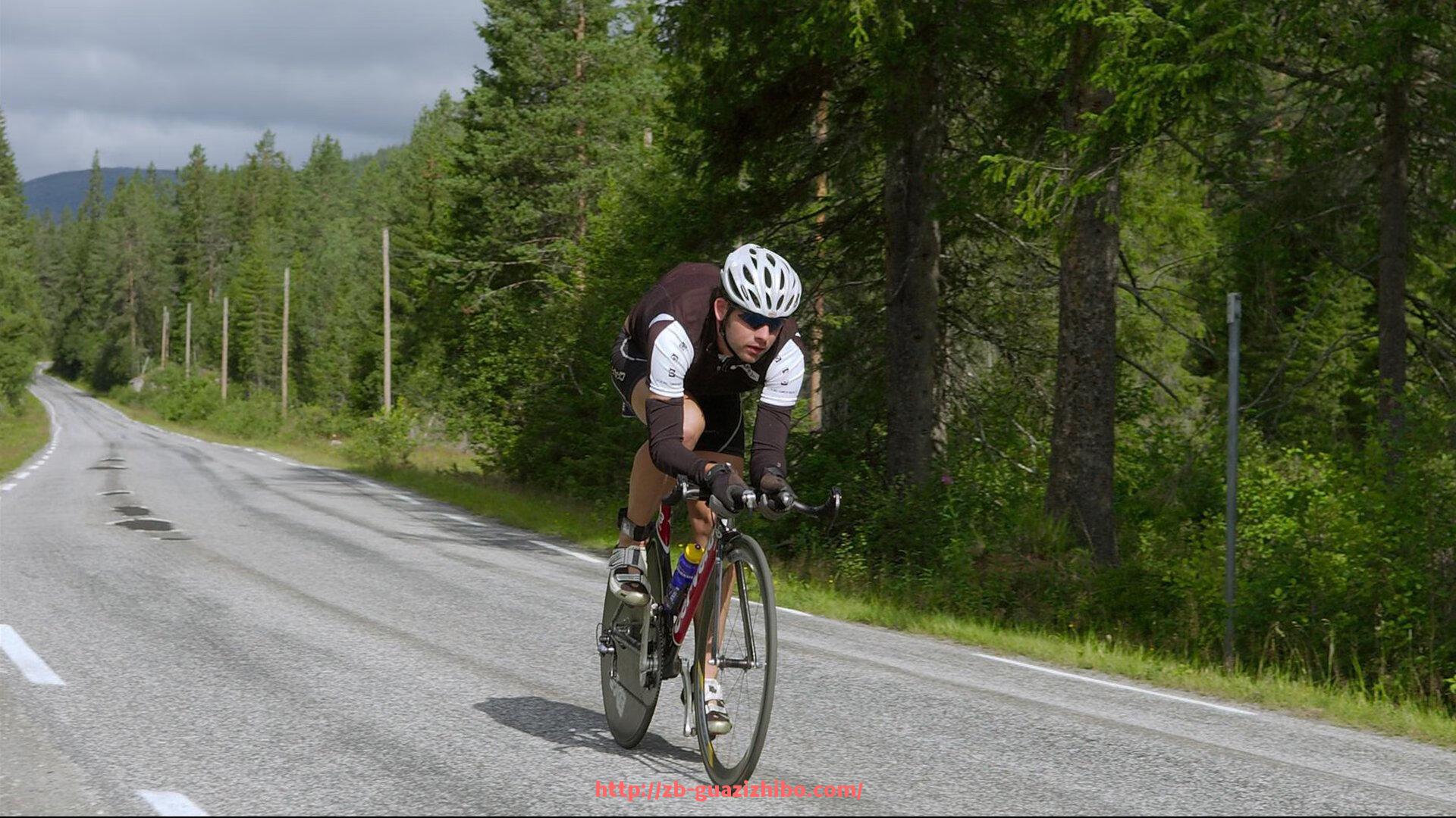 瓜子直播-从接待到体验：世俱杯主办城市观众服务流程优化研究